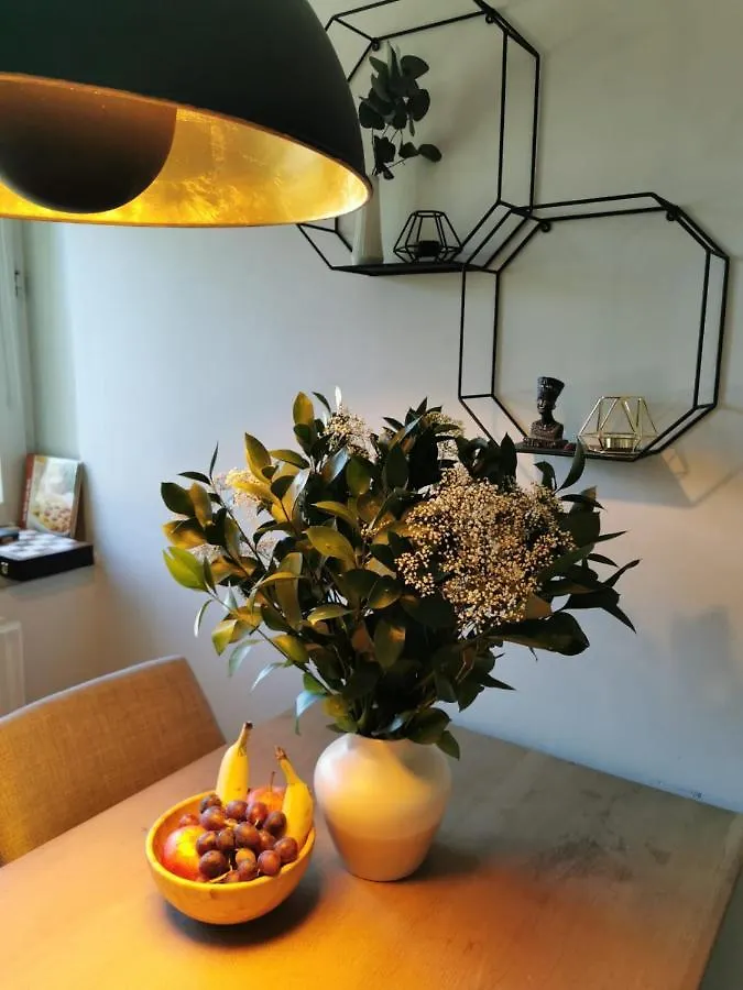 Elegant 2 Bd Apartment Munich
